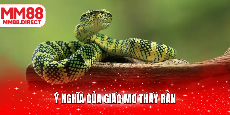 Ý nghĩa của giấc mơ thấy rắn